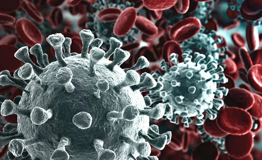 Coronavirus: chi è destinato a sopravvivere?