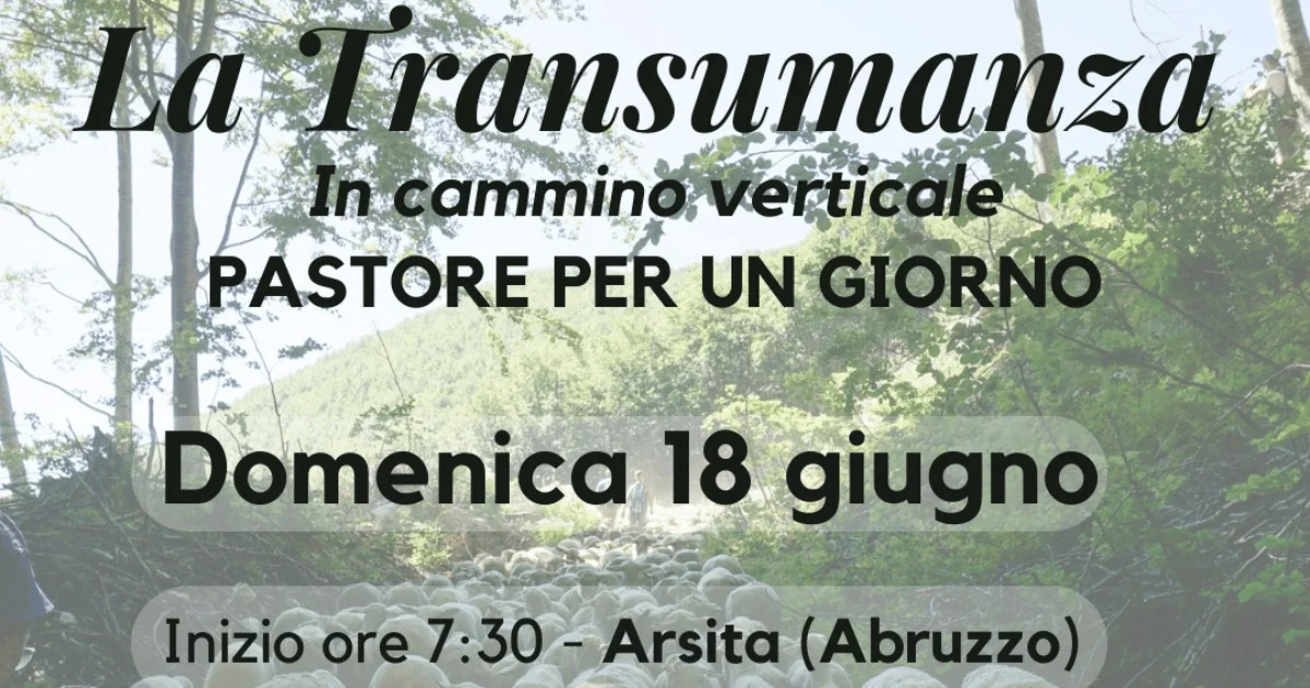 Arsita (TE) - La Transumanza, un viaggio verticale. Pastore per un giorno